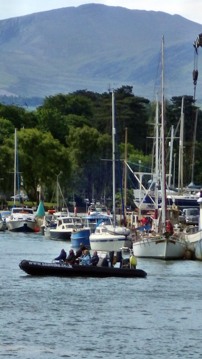 Blackjack sailboat trips