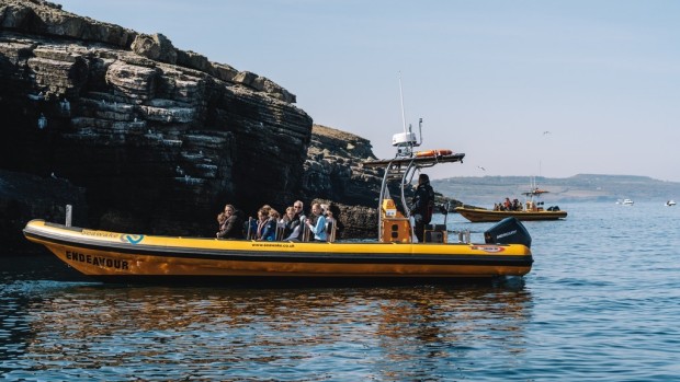RIB ride Puffin Island